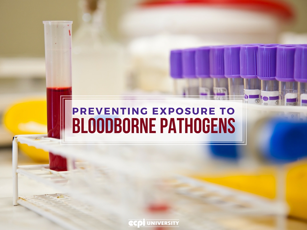 5-ways-to-prevent-exposure-to-bloodborne-pathogens-professional